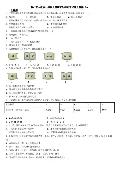 鞍山市人教版七年级上册期末生物期末试卷及答案.doc