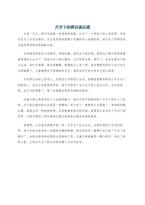 月光下的探访读后感