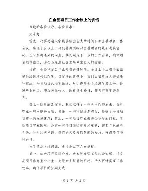 在全县项目工作会议上的讲话