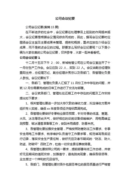 公司会议纪要（集锦15篇）
