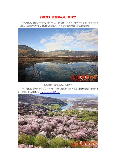 西藏林芝 在那桃花盛开的地方