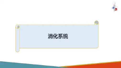 消化系统影像诊断—常见病影像学表现(医学影像诊断课件)