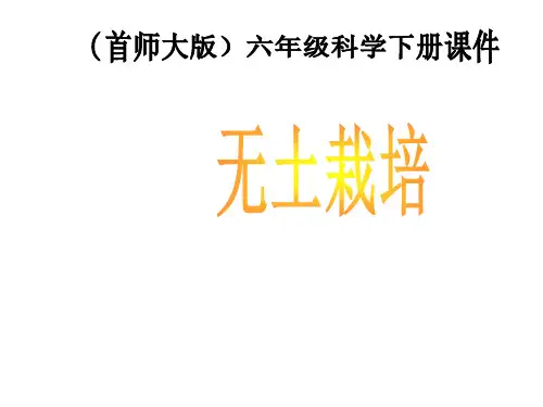 首师大小学科学六下《14.无土栽培》课件