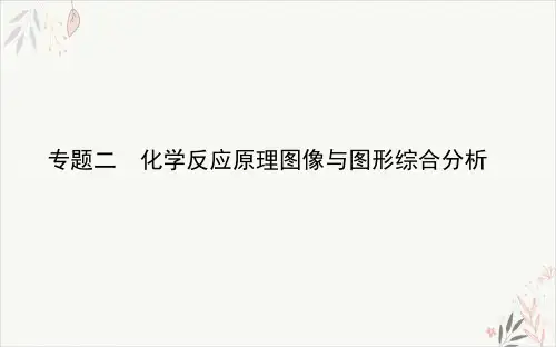 专题二化学反应原理图像与图形综合分析PPT教学课件2021届高考化学二轮复习