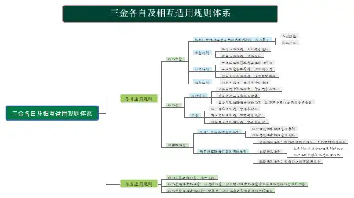 三金各自及相互适用规则体系