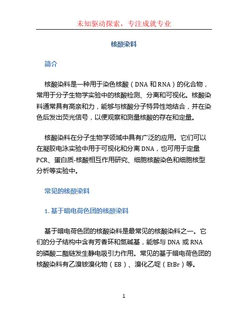 核酸染料文档