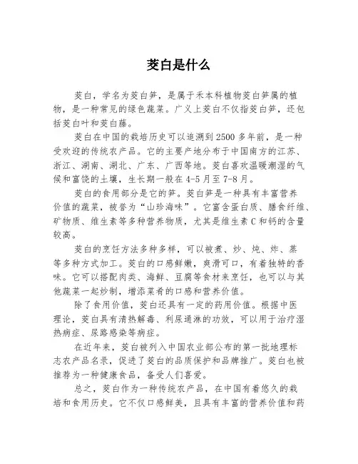 茭白是什么
