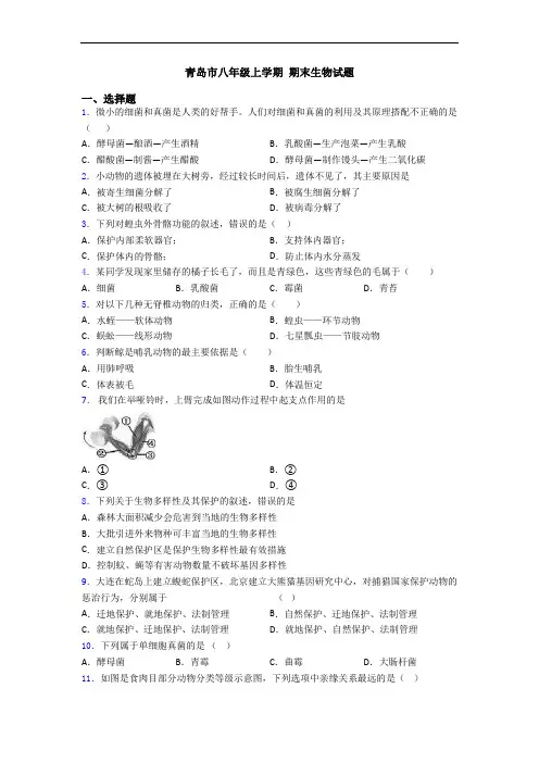 青岛市八年级上学期 期末生物试题