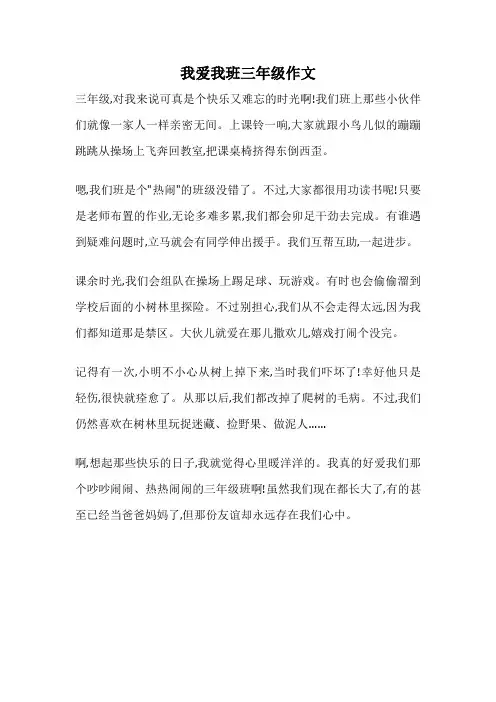 我爱我班三年级作文