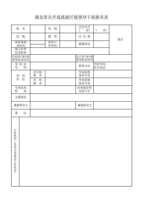 湖北省公开选拔副厅级领导干部报名表