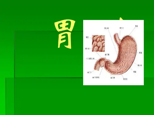 中医内科学课程案例第三章6胃痛