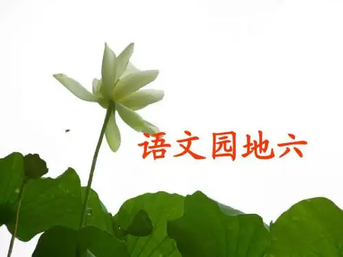 三年级上册语文园地六