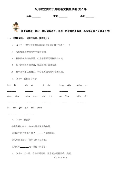 四川省宜宾市小升初语文模拟试卷(2)C卷