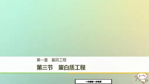 高中生物第一章基因工程1.3蛋白质工程课件苏教版高二选修3117