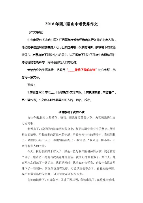 2016年四川眉山中考满分作文《你曾拨动了我的心弦》