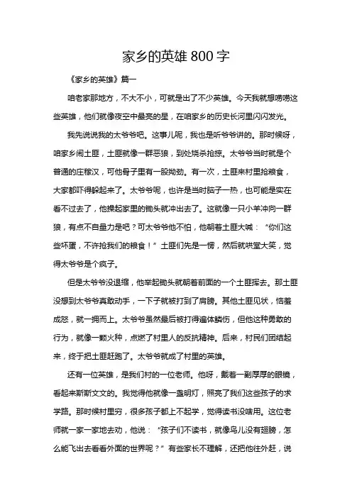 家乡的英雄800字