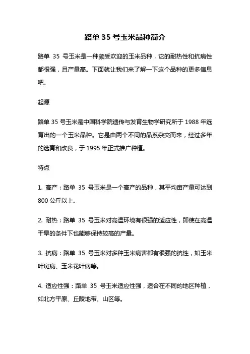 路单35号玉米品种简介