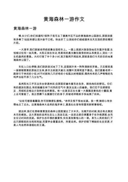 黄海森林一游作文