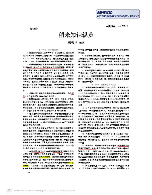 稻米知识纵览