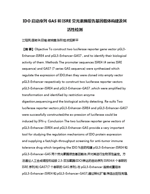 IDO启动序列GAS和ISRE荧光素酶报告基因载体构建及其活性检测