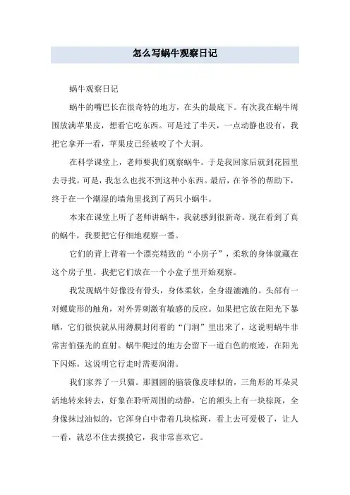 怎么写蜗牛观察日记
