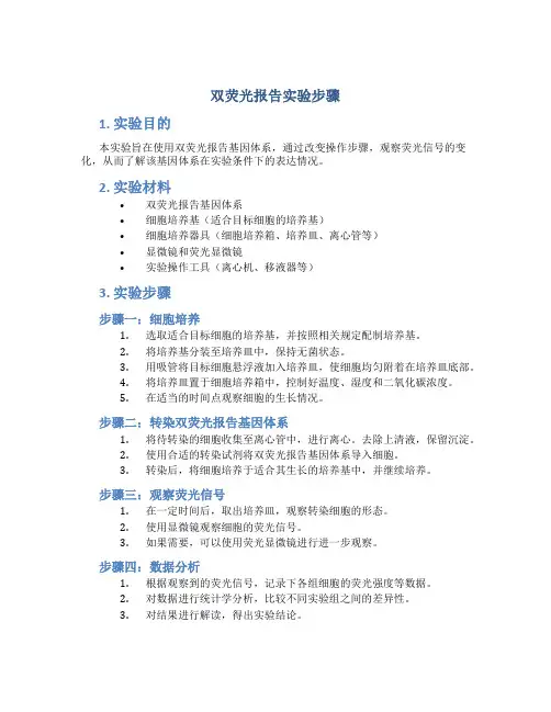 双荧光报告实验步骤