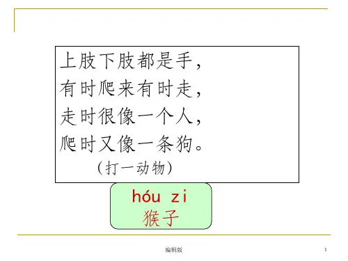 部编版一年级语文上册《比尾巴》完整课件pptPPT课件