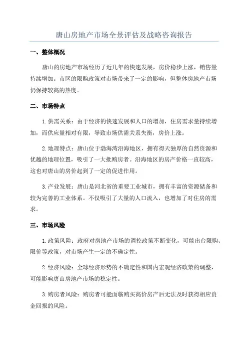 唐山房地产市场全景评估及战略咨询报告