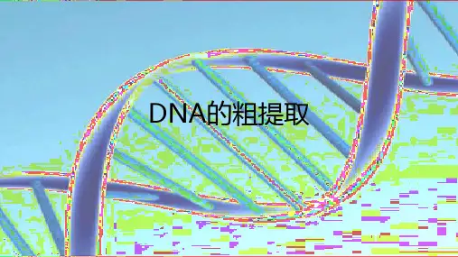 生物趣味实验——DNA的粗提取