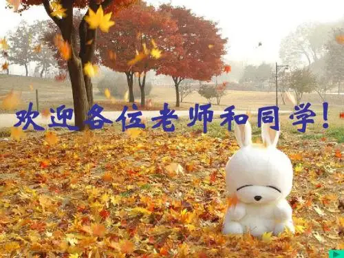 人教版教学课件必修三 稳态与环境 第 3 章 植物的激素调节 课件
