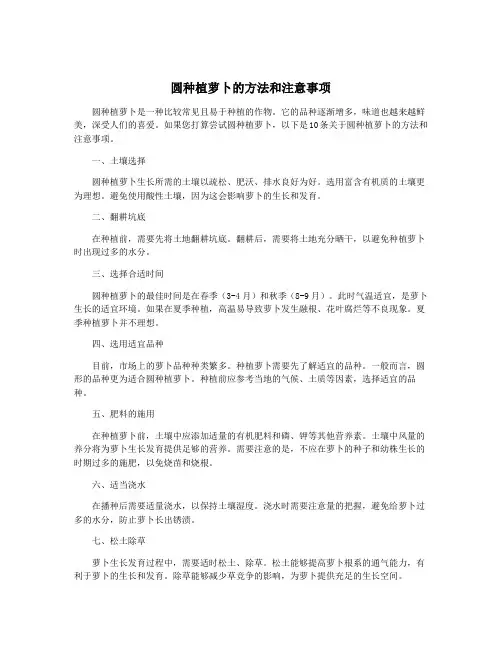圆种植萝卜的方法和注意事项