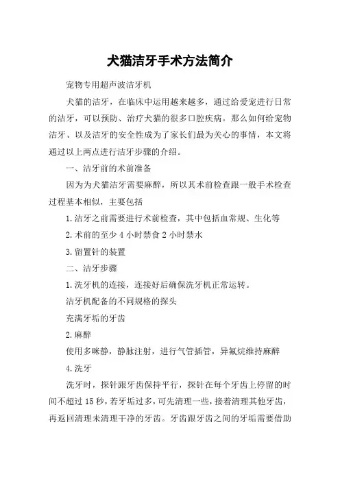 犬猫洁牙手术方法简介