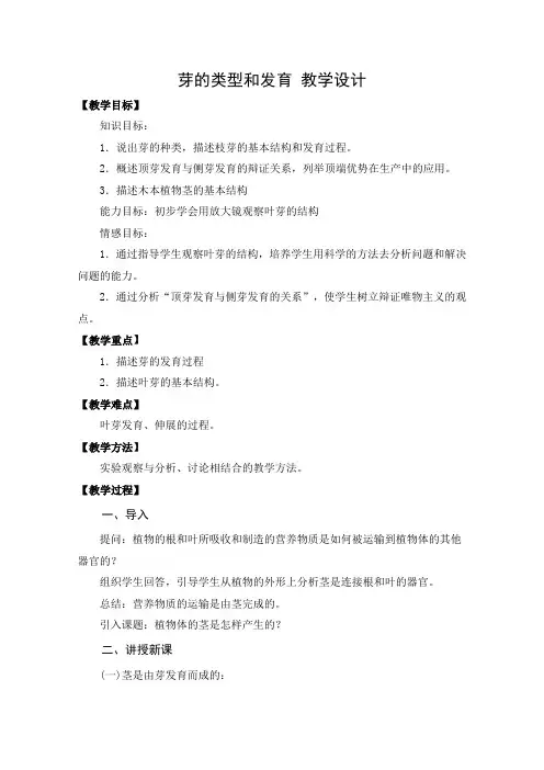 教学设计2：芽的类型和发育
