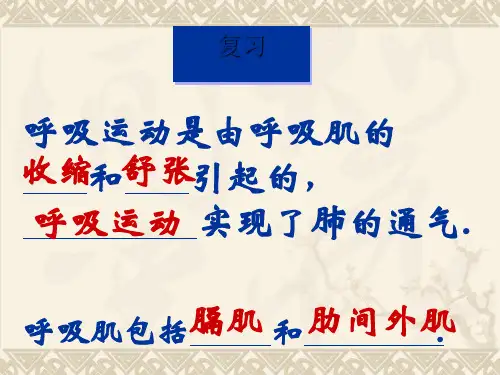 初中生物  呼吸 冀教版精品课件