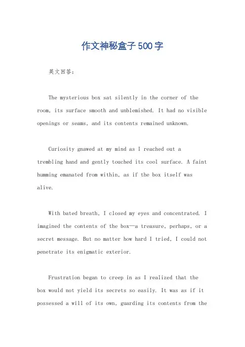 作文神秘盒子500字
