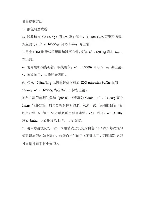 植物组织蛋白提取