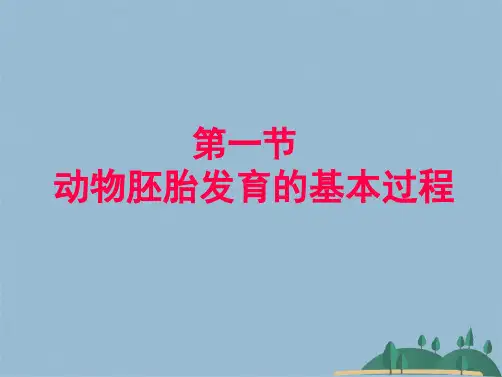 动物胚胎发育的基本过程(共26张PPT)