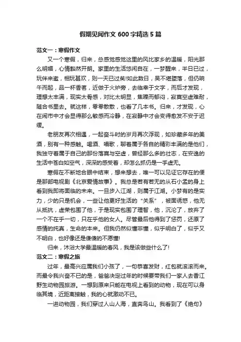 假期见闻作文600字精选5篇