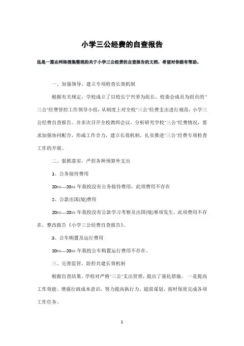 小学三公经费的自查报告