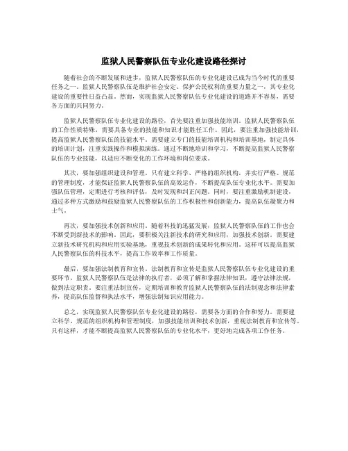 监狱人民警察队伍专业化建设路径探讨