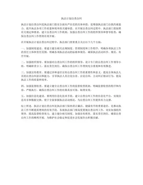 执法计划自查自纠