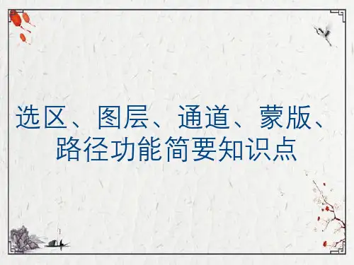 选区、图层、通道、蒙版、路径功能简要知识点