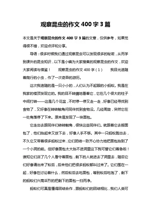 观察昆虫的作文400字3篇