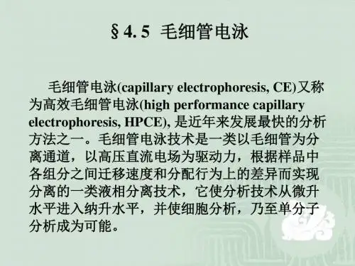 §4.5毛细管电泳