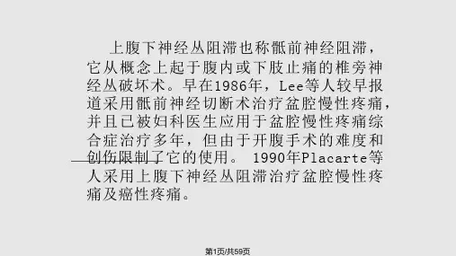 上腹下神经丛解剖与临床PPT课件