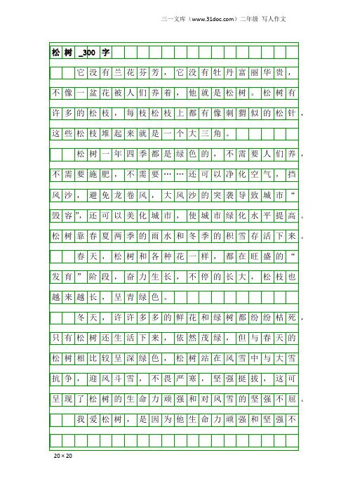 二年级写人作文：松树_300字