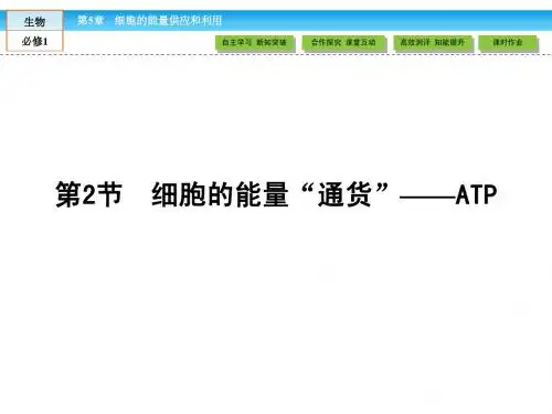 【高效导学】2015版高中生物(RJ)必修1课件：5.2细胞的能量“通货”—ATP