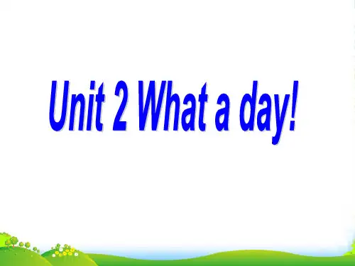 牛津译林版六年级英语上册Unit 2 What a day 课件 1