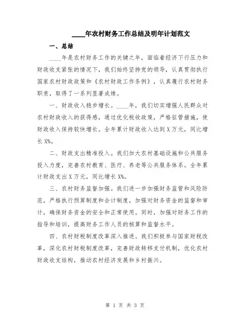2024年农村财务工作总结及明年计划范文