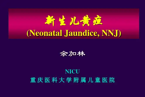 新生儿黄疸-PPT(精)